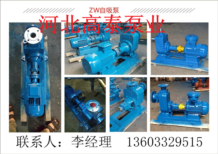 ZW抽污水離心泵機(jī)100ZW100-30
