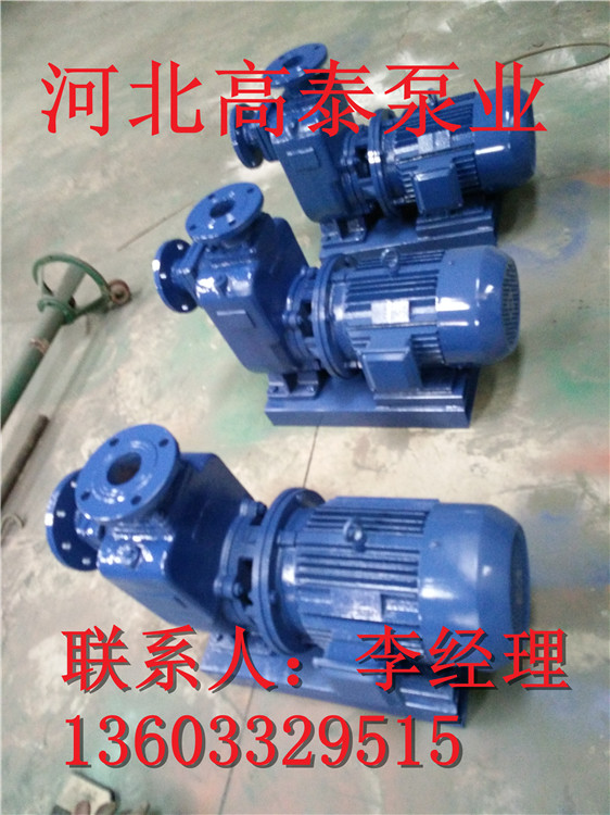 65ZW25-40自吸無(wú)堵塞排污泵