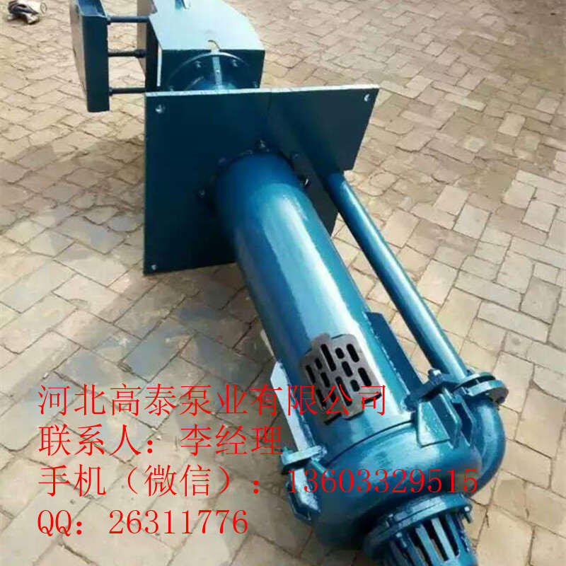 熱銷100RV-SP液下渣漿泵 批發(fā)SP(R)液下渣漿泵